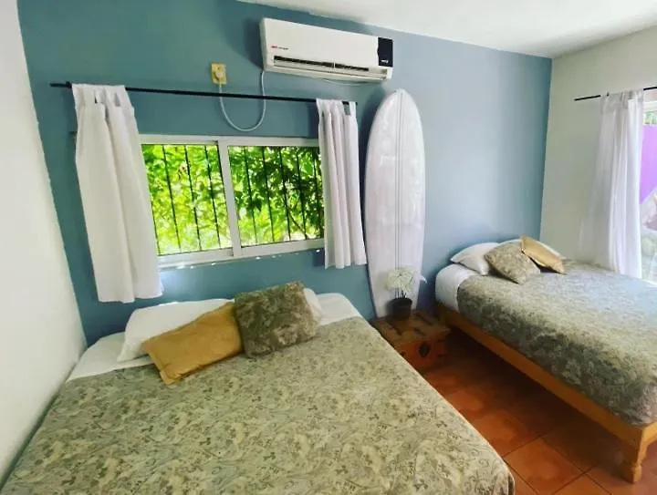 Wandering Monkey Guesthouse Mazatlan